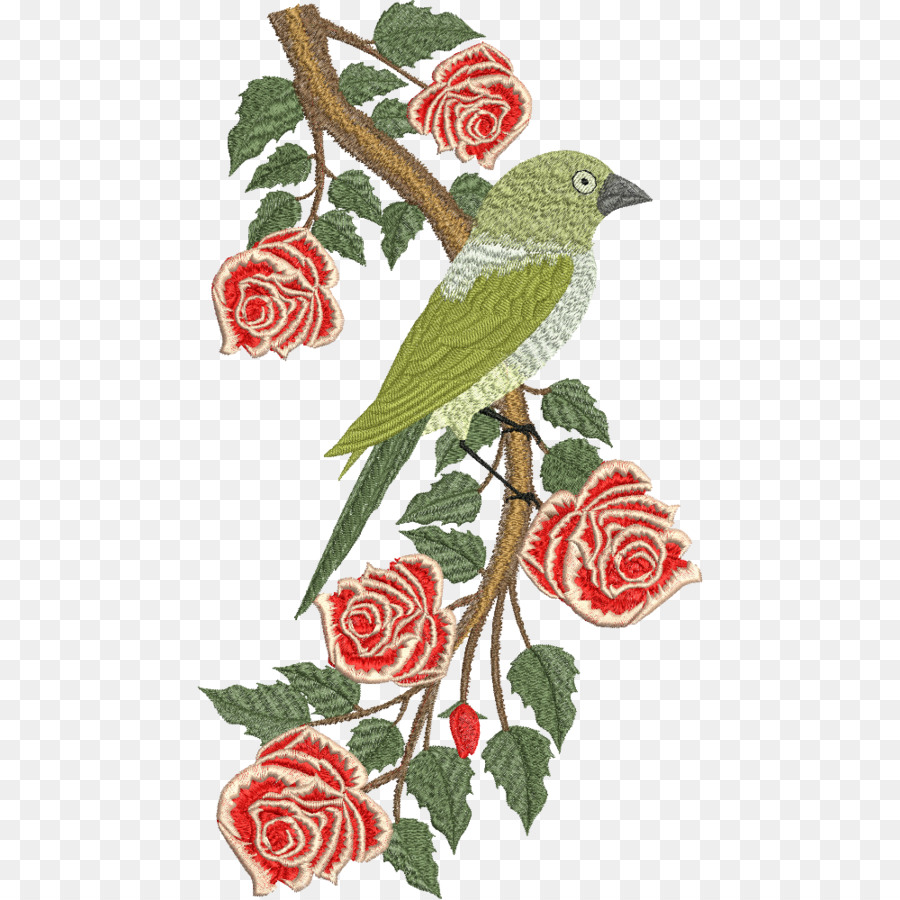 الورود حديقة，طائر PNG