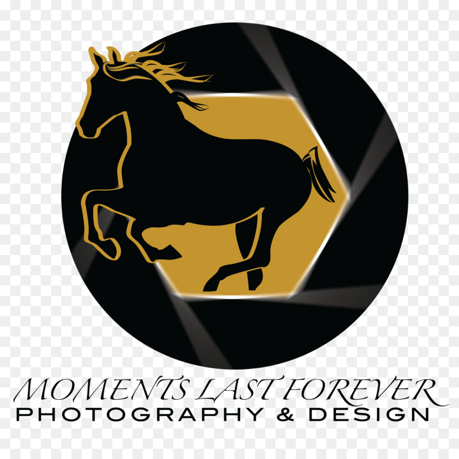 الحصان，شعار PNG