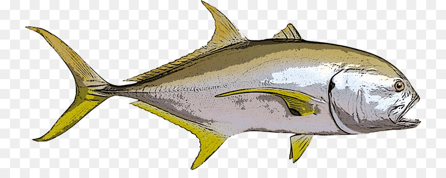 Thunnus，Crevalle جاك PNG