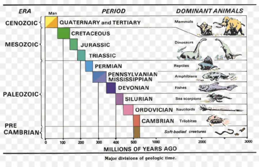 الرسم البياني الزمني الجيولوجي，العصور PNG