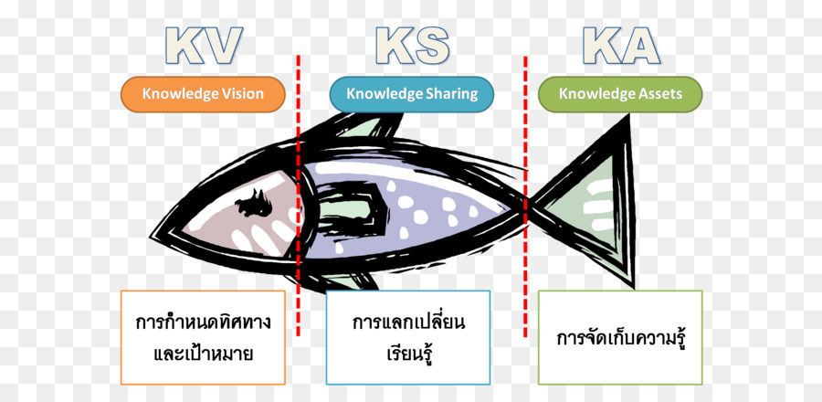 إدارة المعرفة，الأسماك PNG