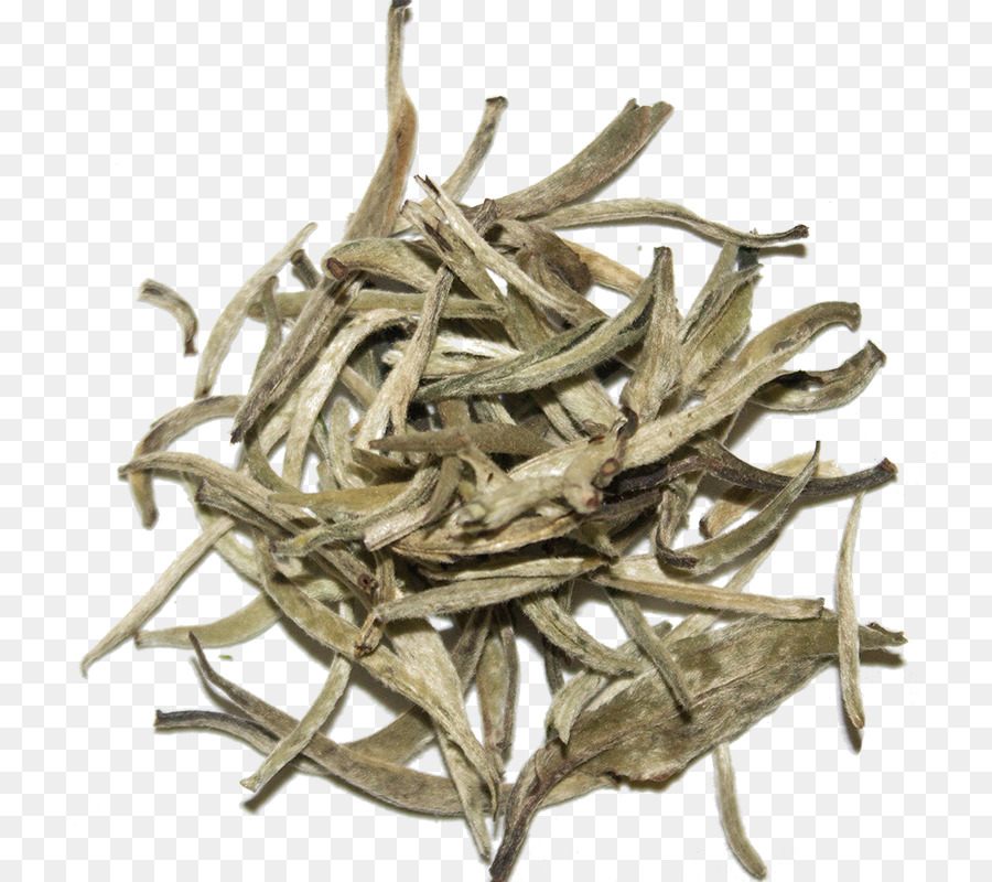 الشاي الأبيض，Nilgiri الشاي PNG