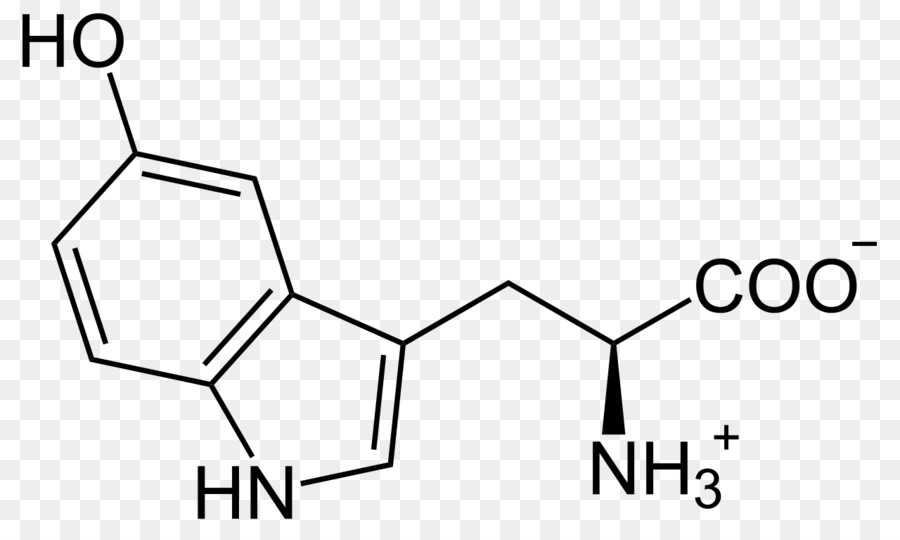 5hydroxytryptophan，التربتوفان PNG