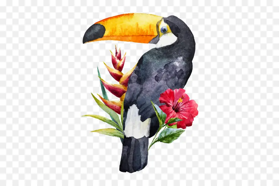 الطيور，الطوقان PNG