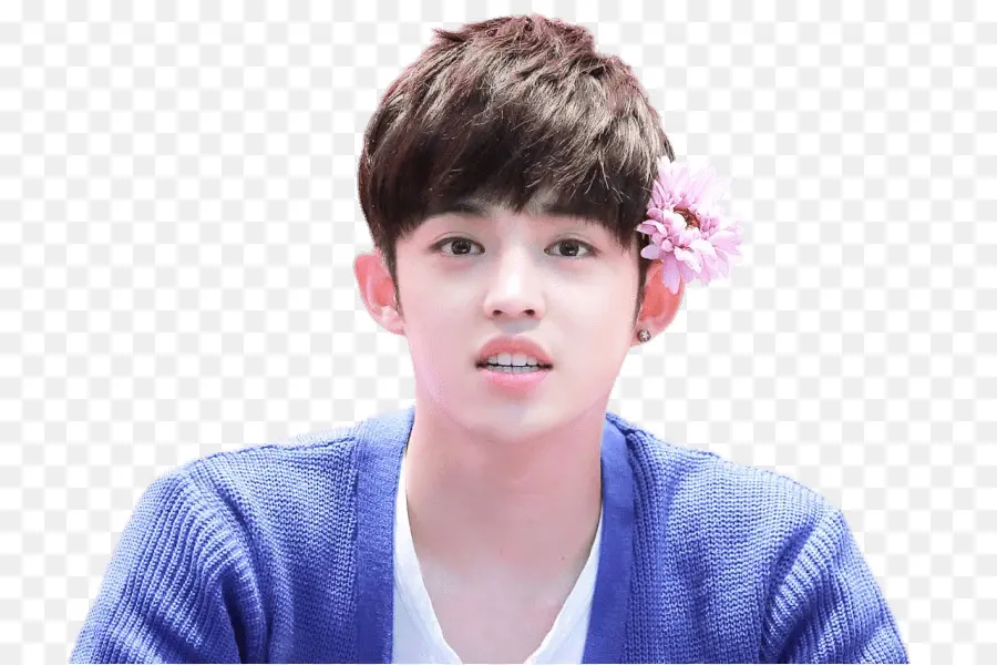 Scoups，سبعة عشر PNG