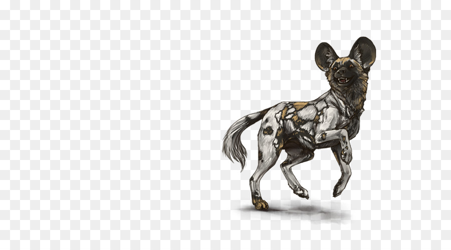 الكلاب البرية الأفريقية，الأسد PNG