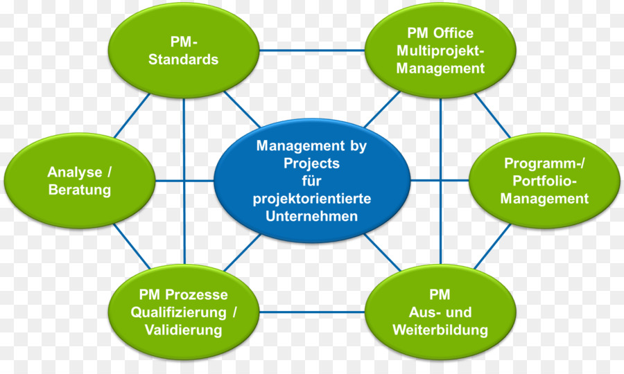 إدارة المشاريع，المنظمة PNG