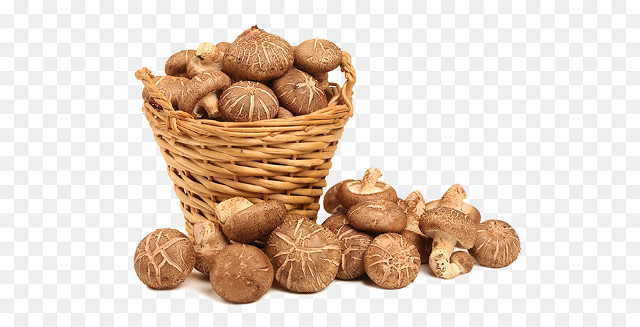 Lingzhi Mushroom，شيتاكي PNG