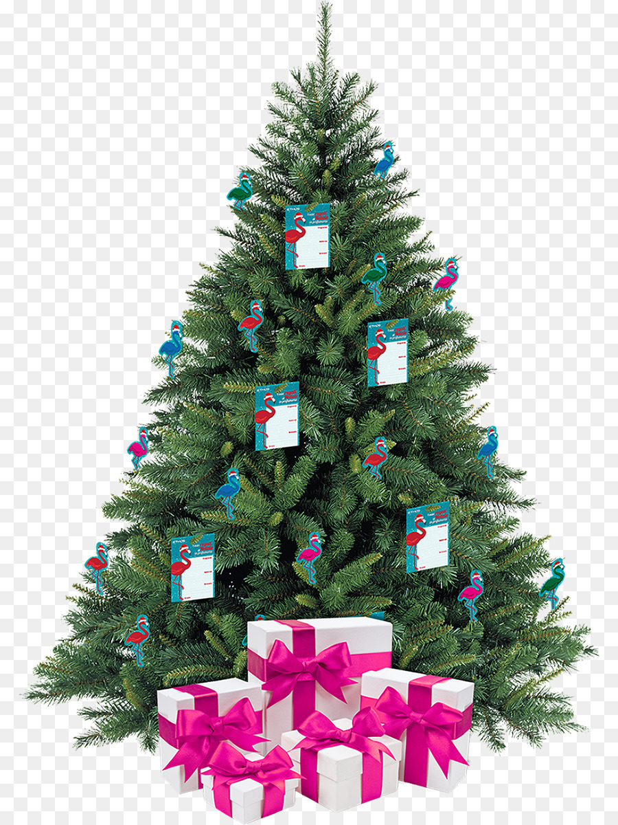 شجرة عيد الميلاد，الصنوبر PNG