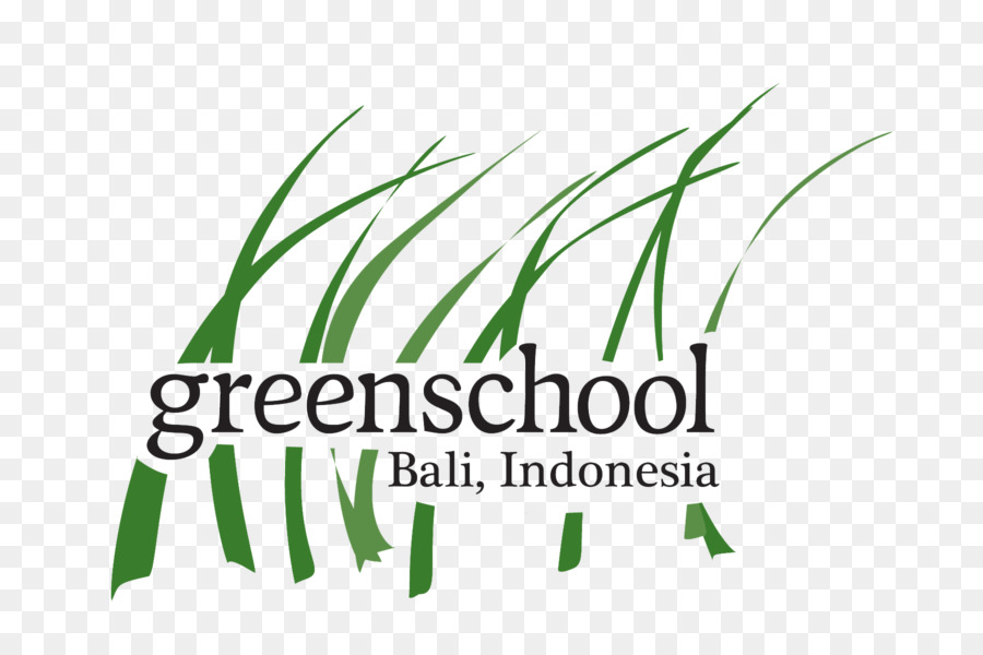 المدرسة الخضراء بالي，مدرسة PNG
