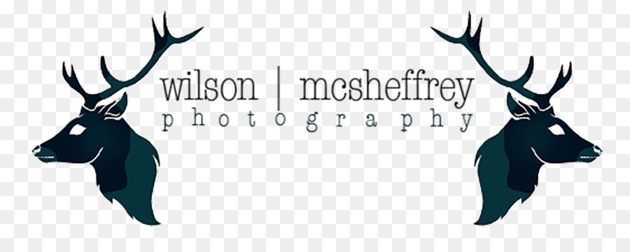 ويلسون Mcsheffrey التصوير，مصور PNG