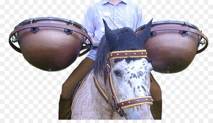 الحصان，Tomtoms PNG