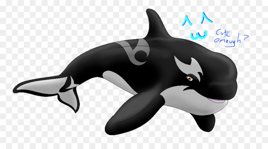 الحوت القاتل，دولفين PNG