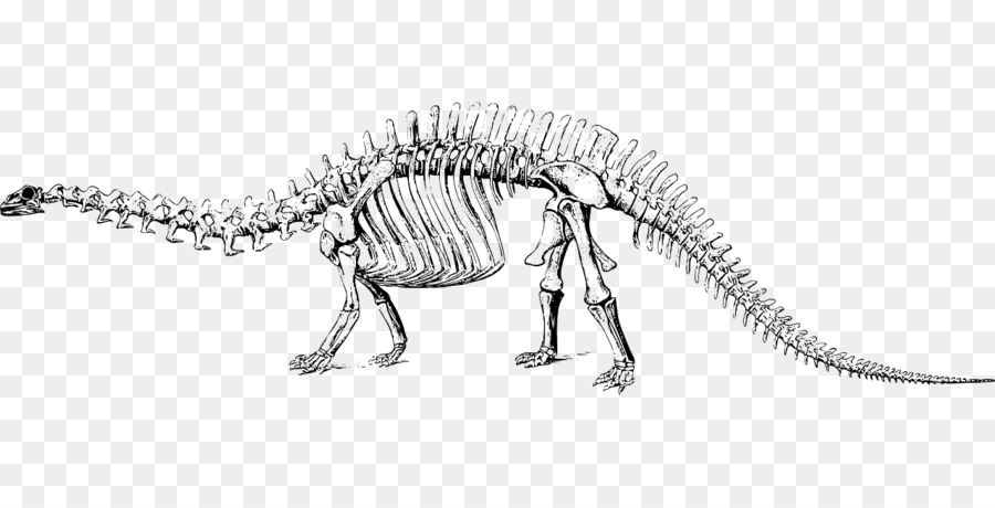 أباتوصور，الديناصور PNG
