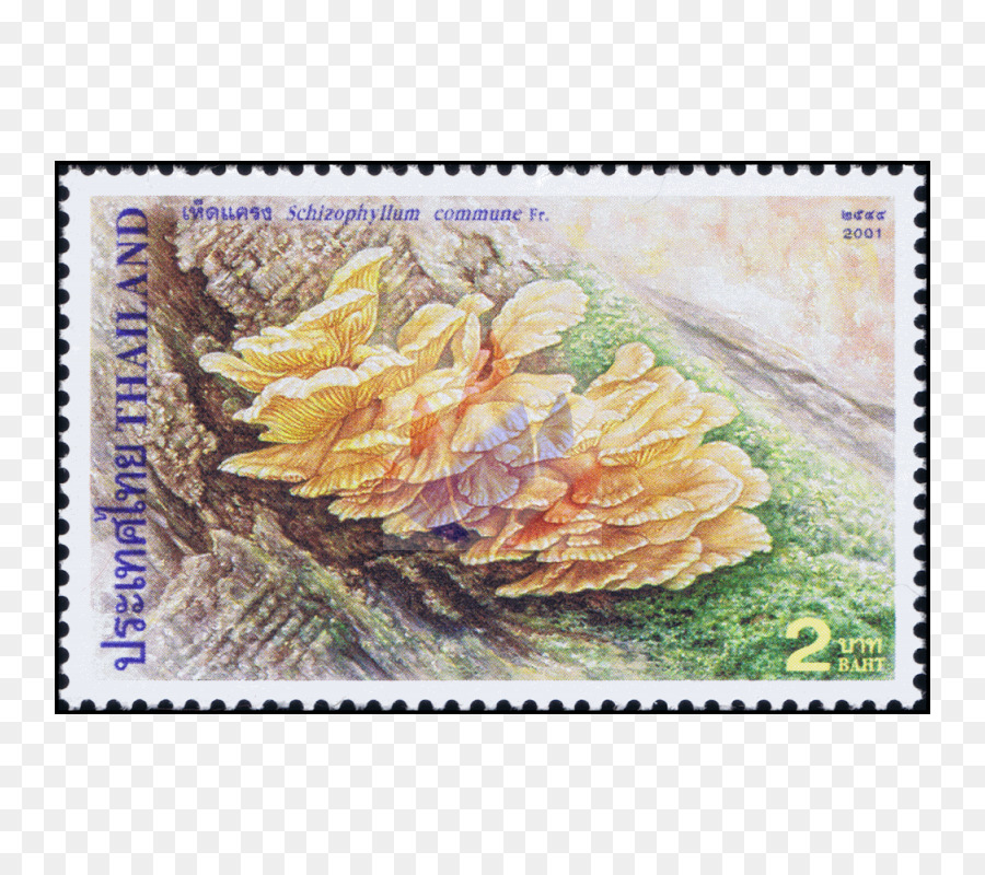 الطوابع البريدية，اللوحة PNG