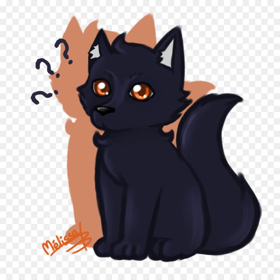 قط أسود，قطه صغيرة PNG
