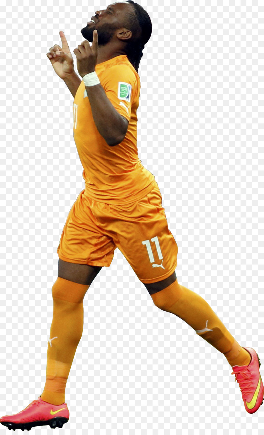 ساحل العاج المنتخب الوطني لكرة القدم，كأس العالم لكرة القدم 2014 PNG