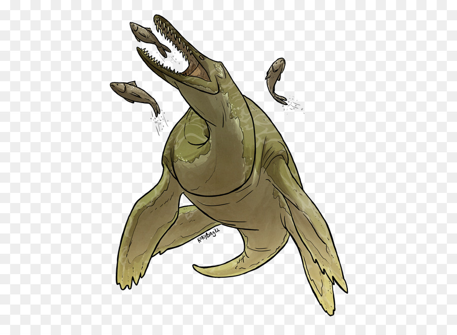 الديناصور，السلاحف PNG