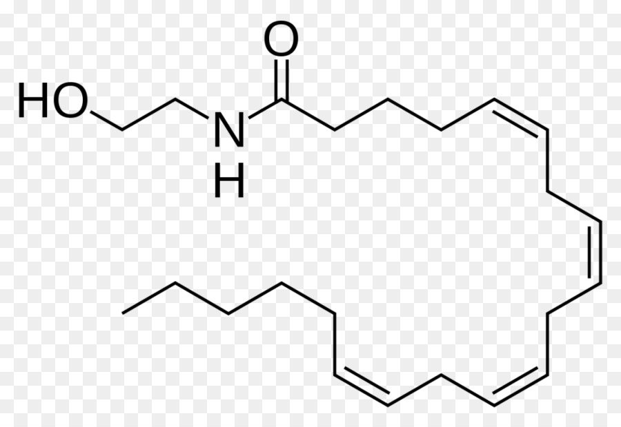 Anandamide，جزيء PNG