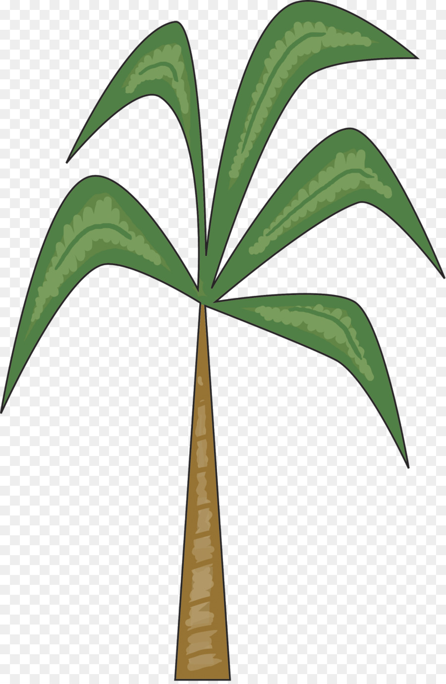 Arecaceae，ورقة PNG