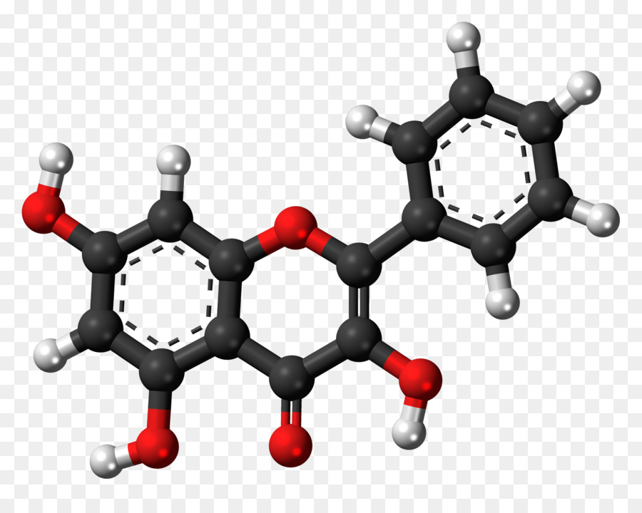 الفلافونويد，الفلافونول PNG