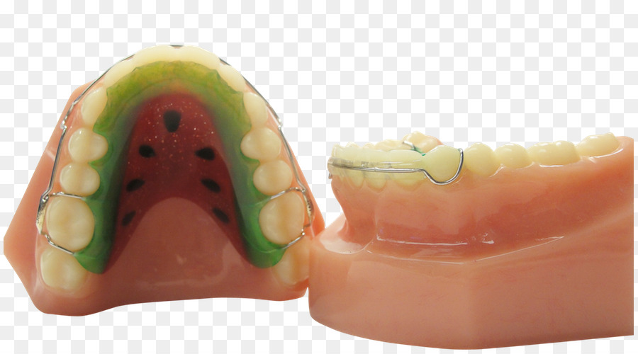 الأسنان，التوكيل PNG