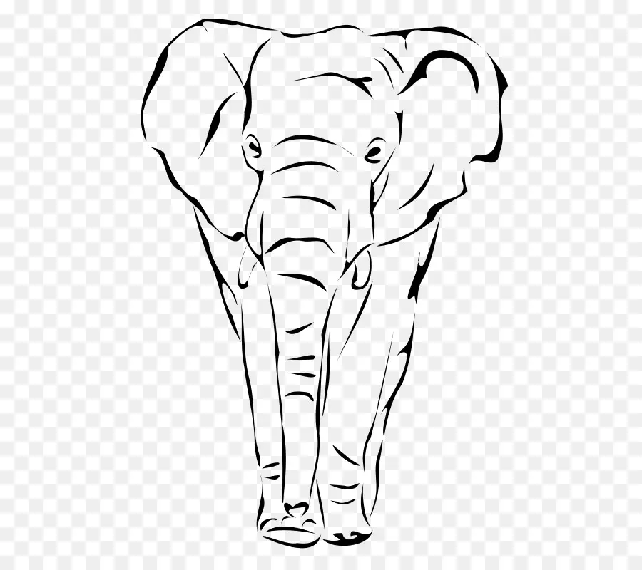 الفيل الأفريقي بوش，الرسم PNG