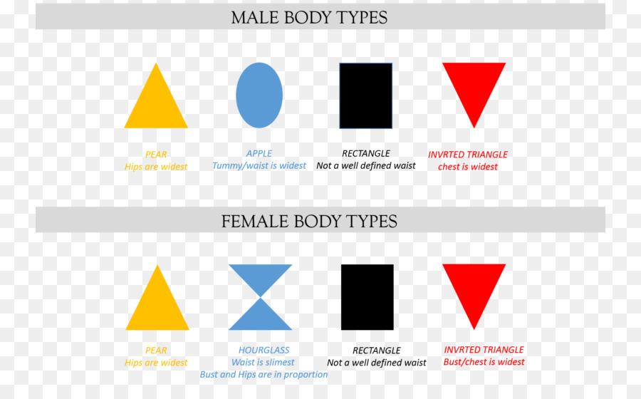 الإناث شكل الجسم，جسم الإنسان PNG