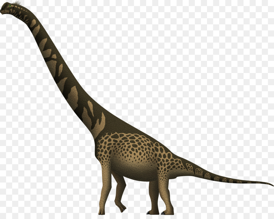 Cedarosaurus，الزرافة PNG