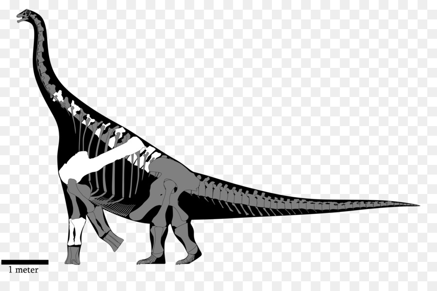 الديناصور，Nemegtosaurus PNG