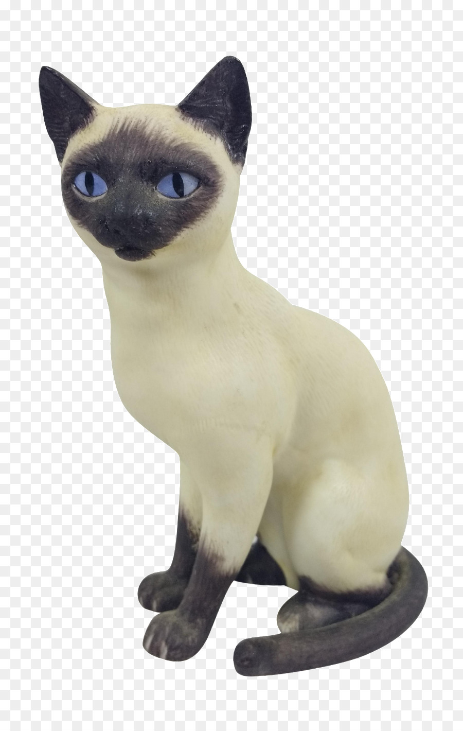 القط السيامي，Tonkinese القط PNG