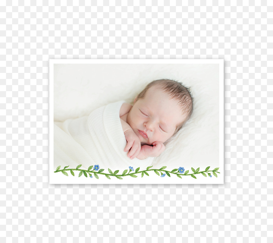 إطارات الصور，الرضع PNG