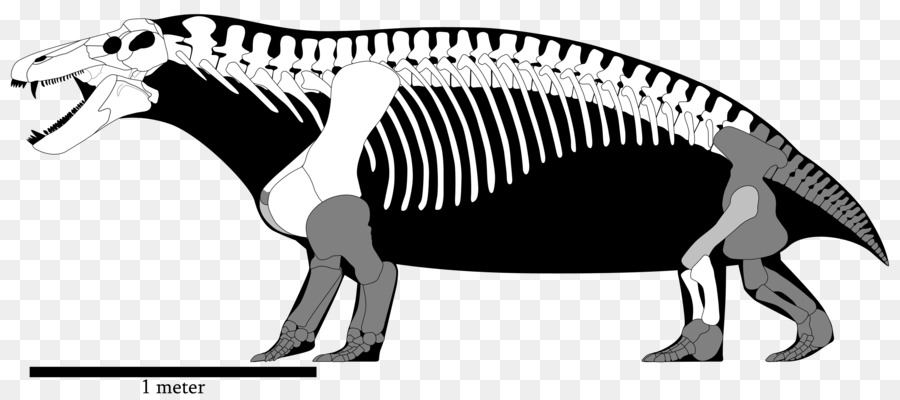 الديناصور，Yutyrannus PNG