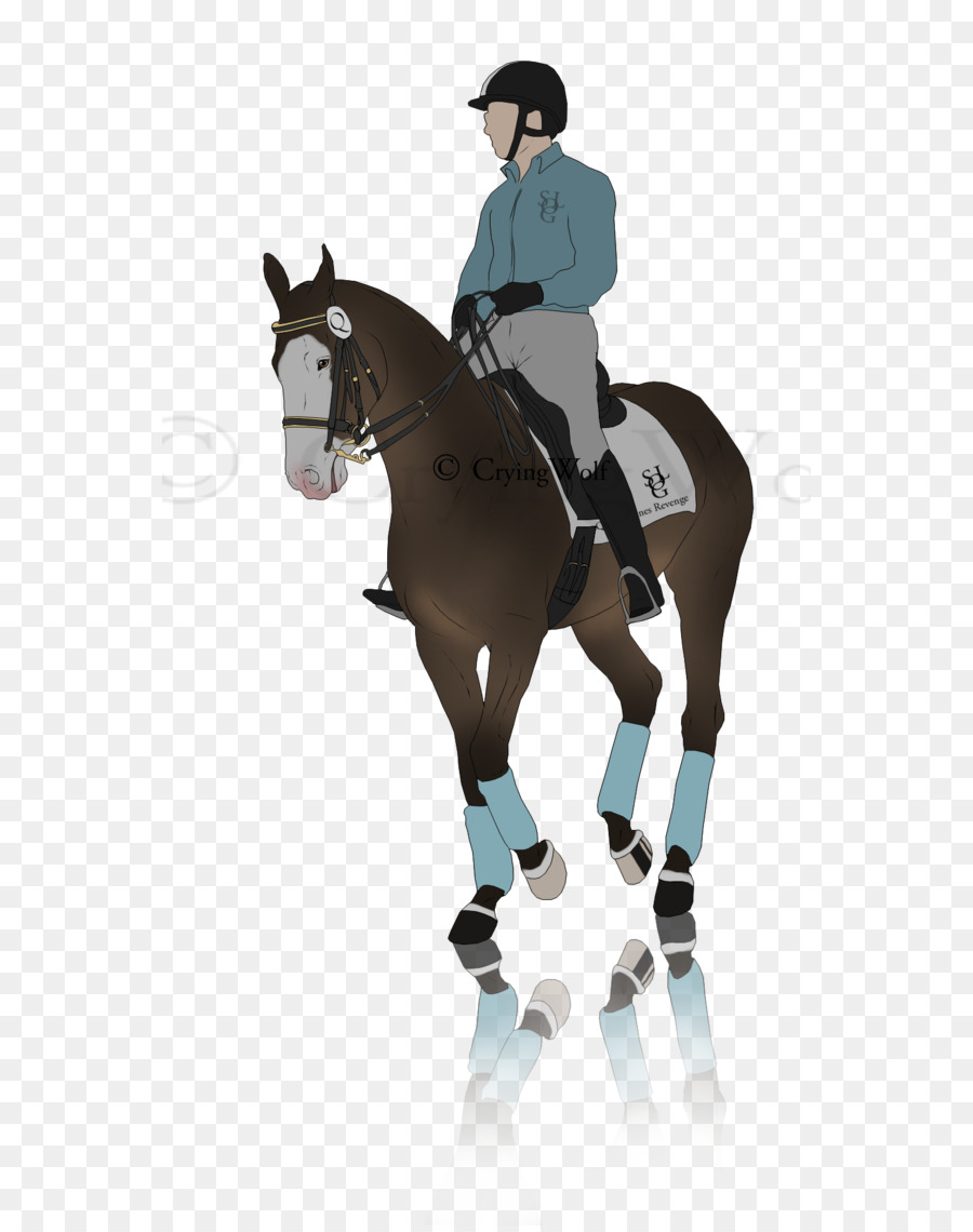 راكب الخيل，حصان PNG