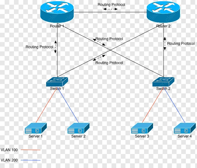 Virtual Lan, الظاهري الموسعة Lan, التوجيه صورة بابوا نيو غينيا
