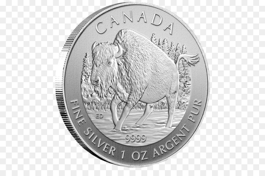 الفضة，كندا PNG