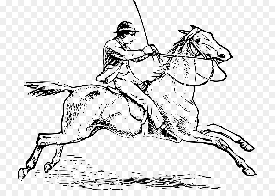 الحصان，الفروسية PNG