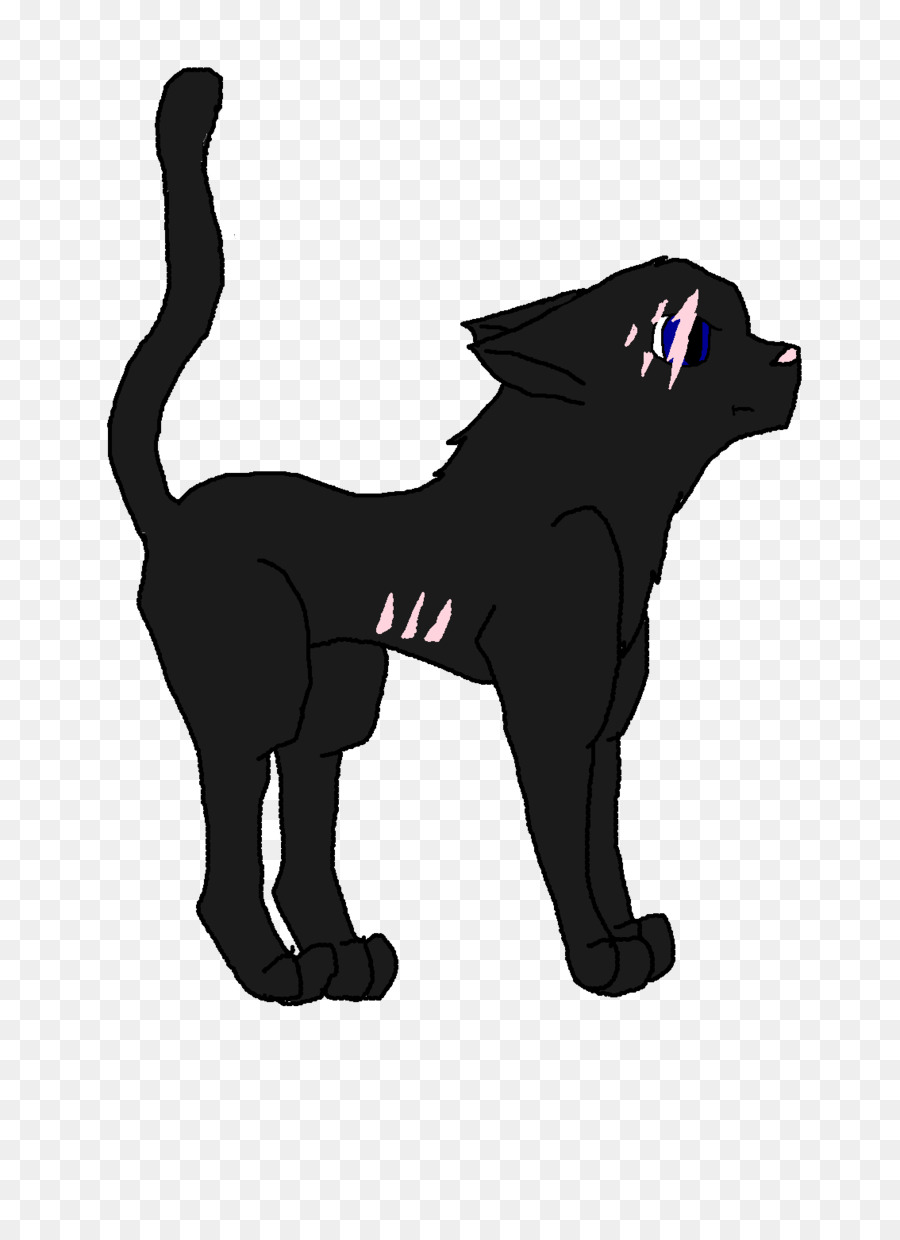 القط الأسود，القط PNG