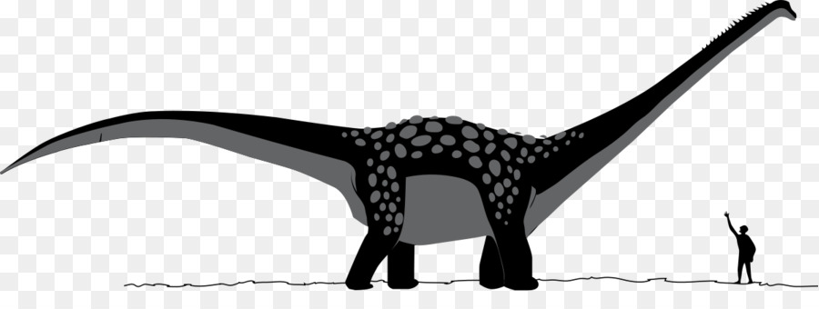 Antarctosaurus，أباتوصور PNG