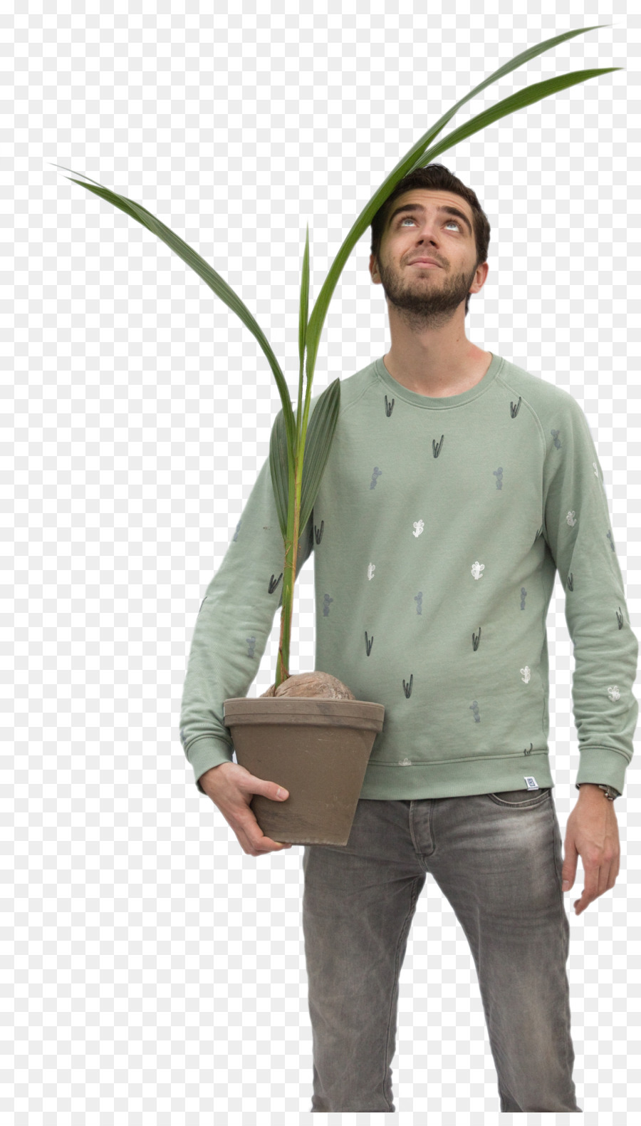 ل Houseplant，مصنع PNG