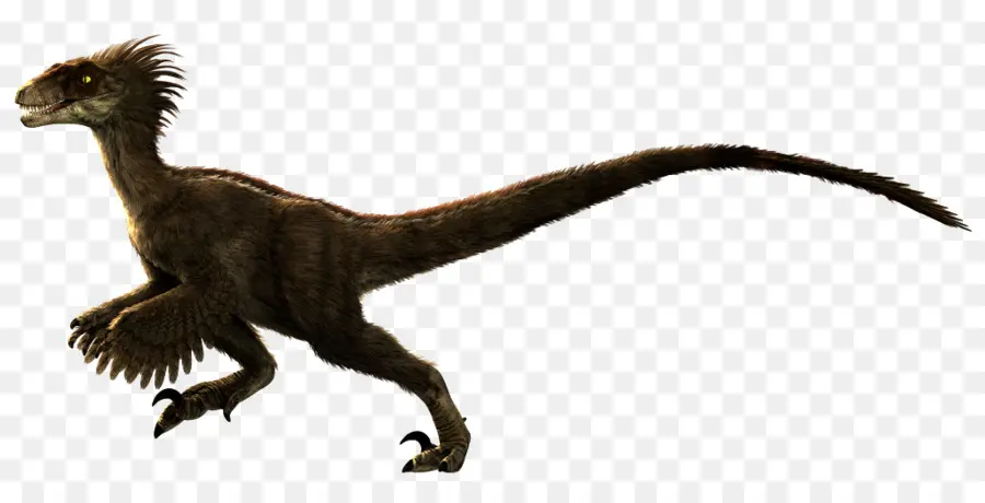 Velociraptor，المذبحة البدائية PNG