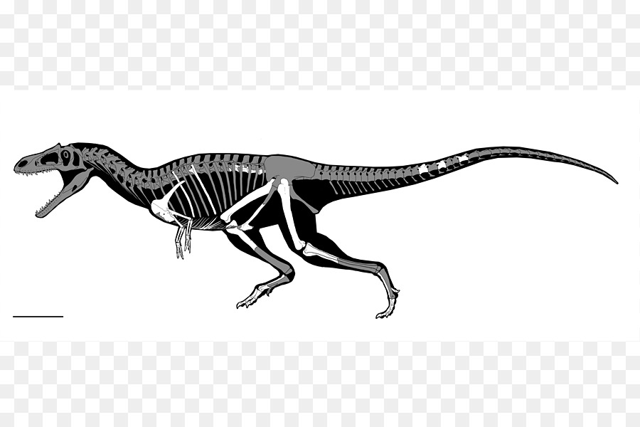 الديناصور，Struthiomimus PNG
