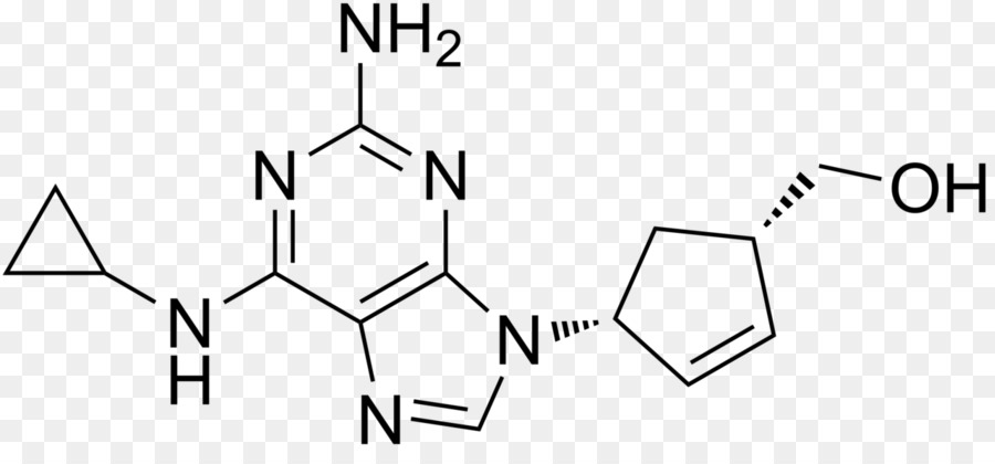 السيتوزين，5methylcytosine PNG