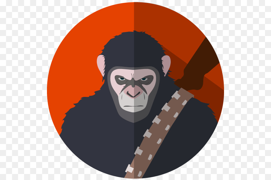 القرد，شعر الوجه PNG