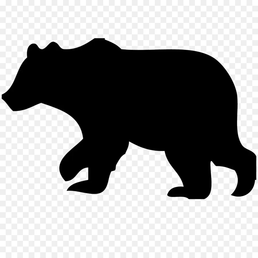 الدب الأسود الأمريكي，الدب PNG