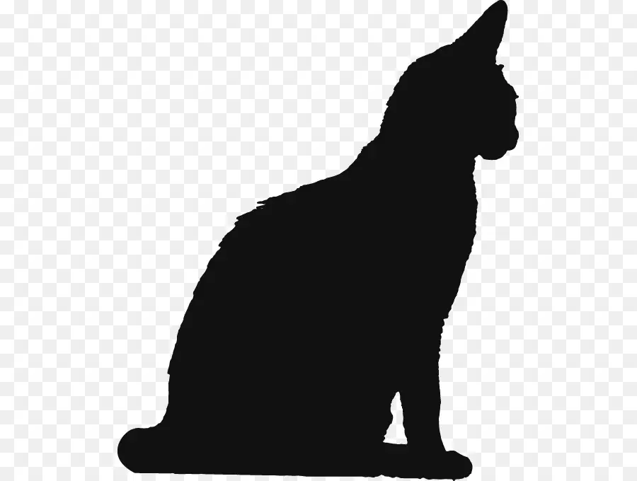 القط الأسود，صورة ظلية ، PNG