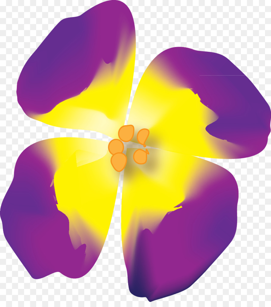 البنفسجي，Violaceae PNG