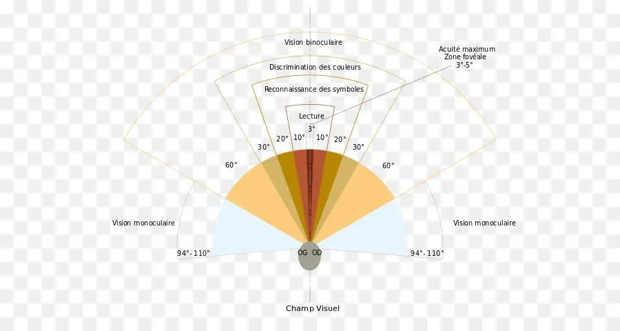 مخطط المجال البصري，رؤية PNG