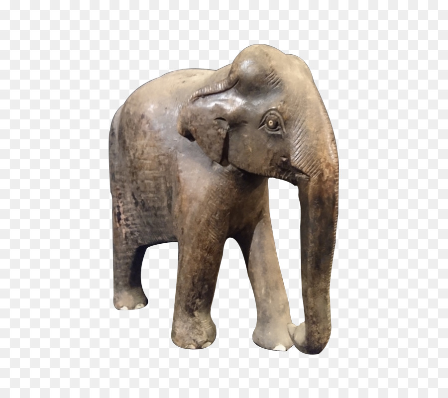 الفيل الهندي，نيبال PNG
