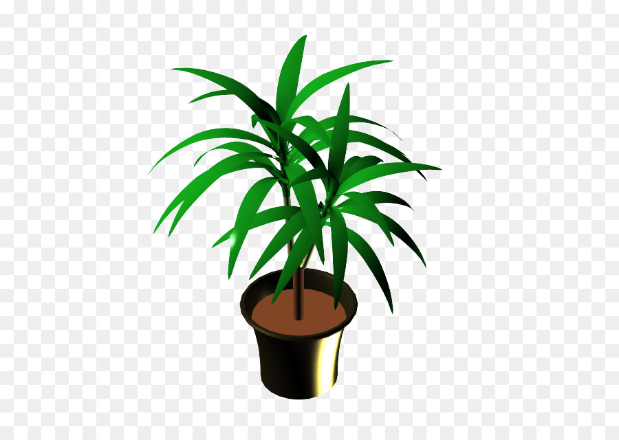 Arecaceae，زهور PNG